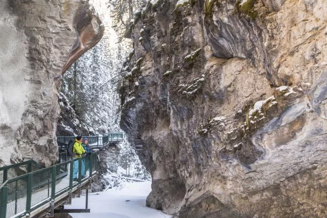 Winter Snowshoeing