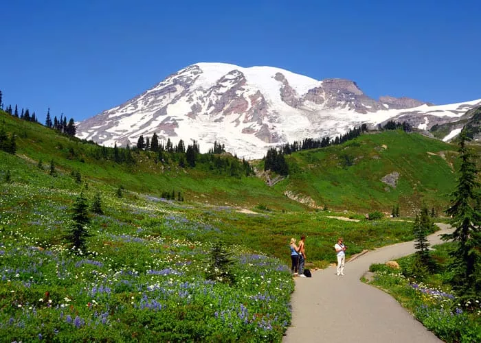 Berg Lake Trail